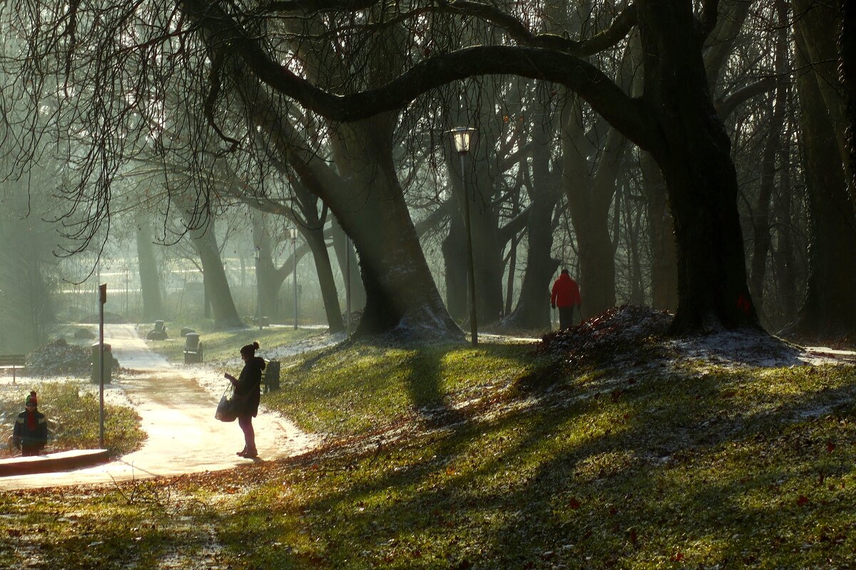 30 декабря - Юрий. Шмаков