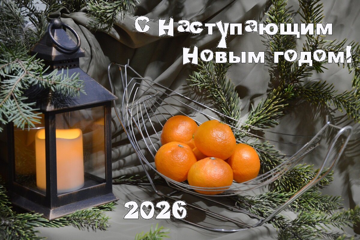 *** - Надежда Куркина 