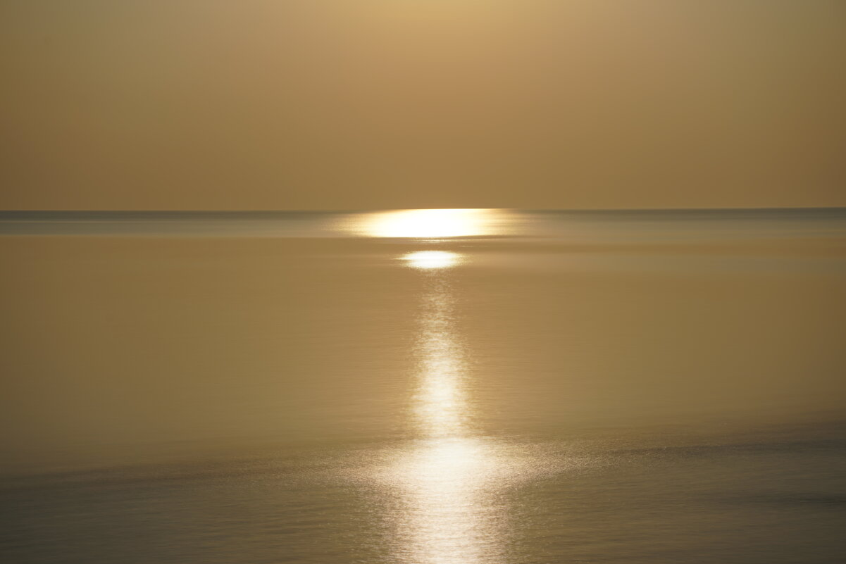 *** - Иван Литвинов