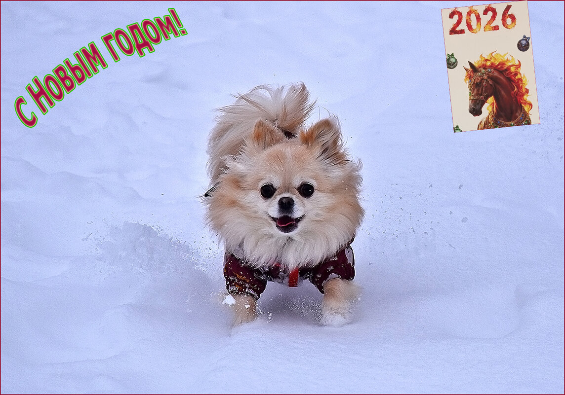 Слышу шаги Деда Мороза! Встречу первым! - Валентина Нефёдова Слышу шаги Деда Мороза! Встречу первым! - Валентина Нефёдова