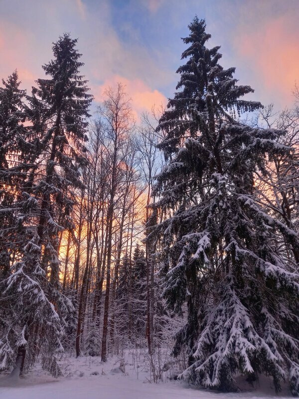 Закат - Сапсан Закат - Сапсан