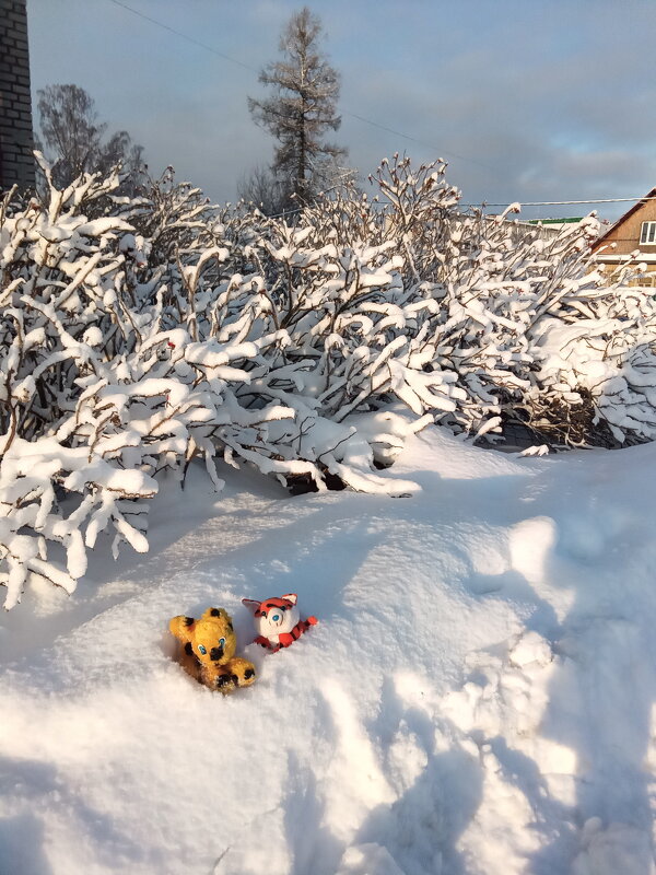 Я  на  солнышке  лежу - Фотогруппа Весна