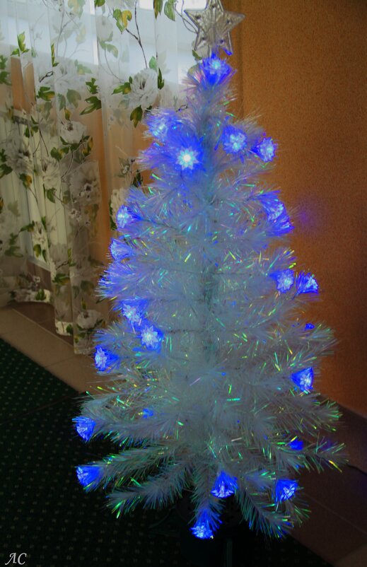 Такие разные ёлки - Любовь Сахарова