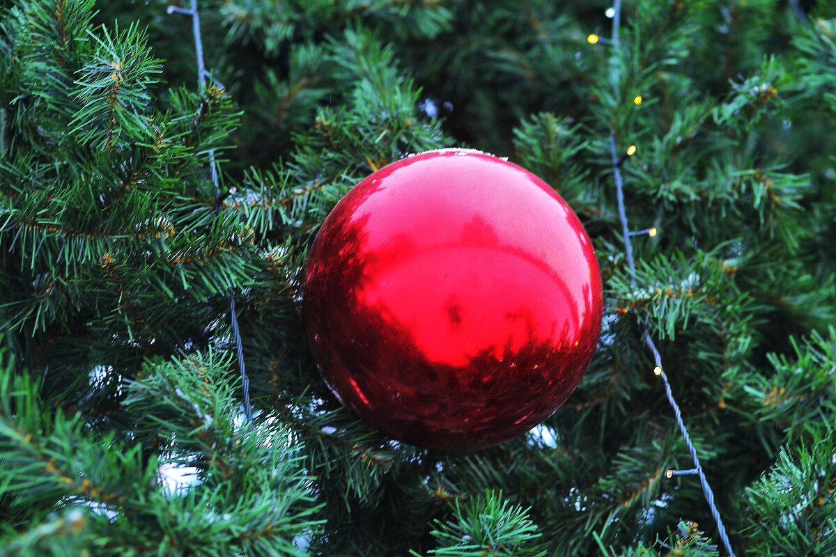 Городская ёлка - Юрий Гайворонскiий