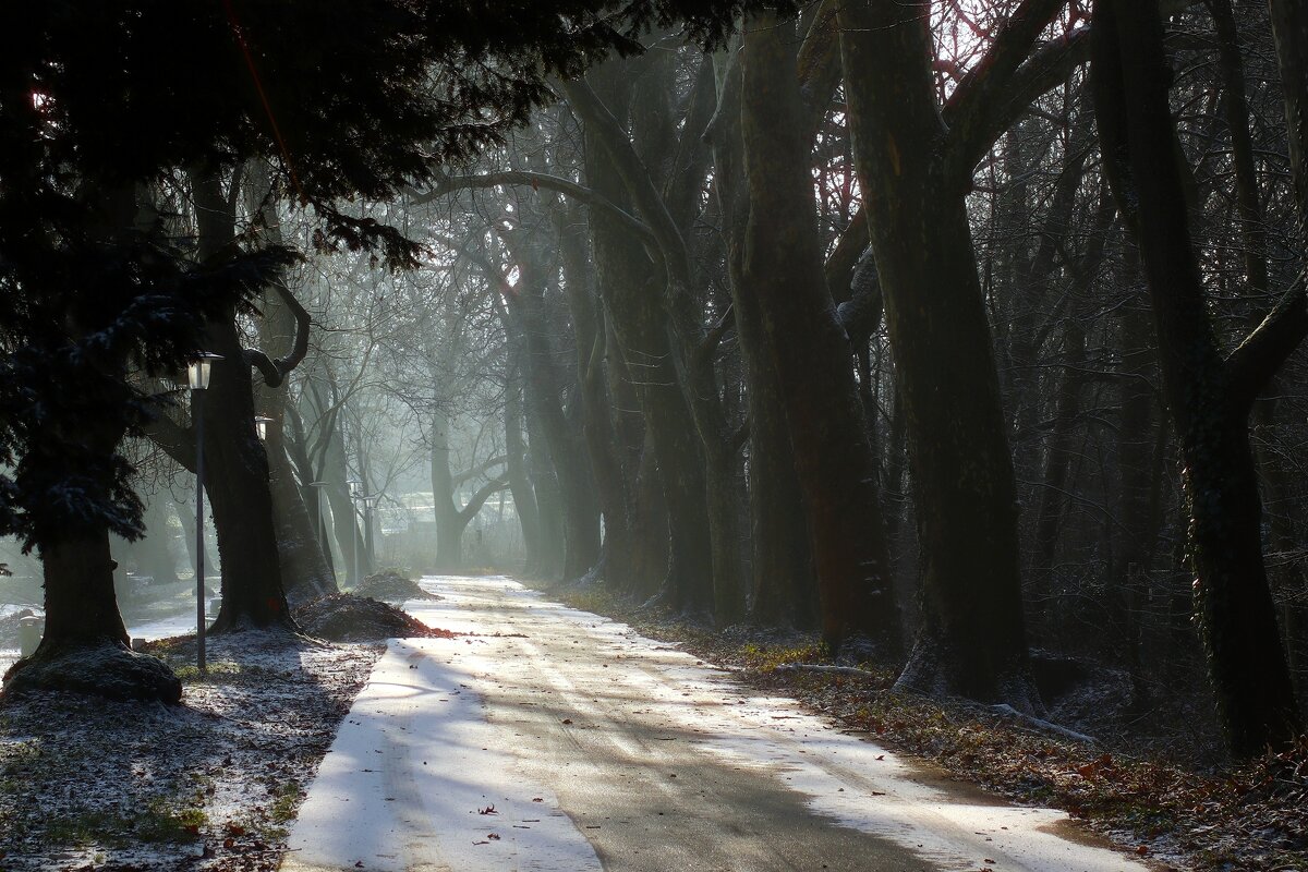 А утром выпал снег - Юрий. Шмаков