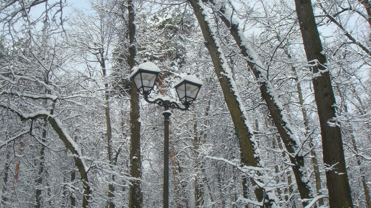 Сегодня праздник у ребят ) - Галина 