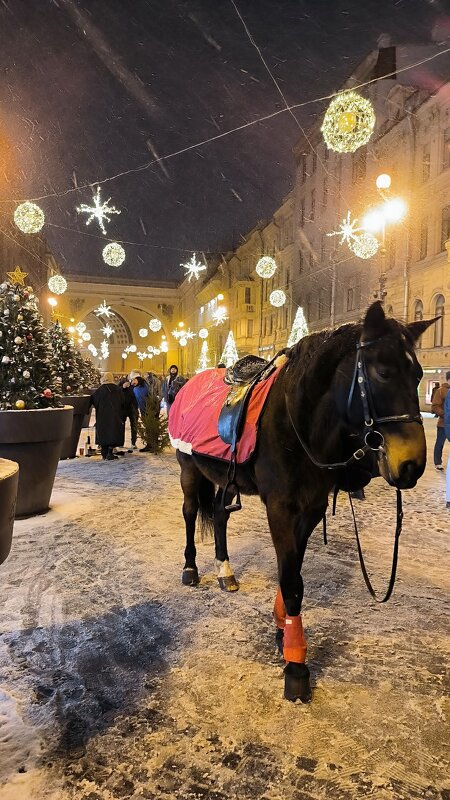 Символ наступающего года. - Ольга 