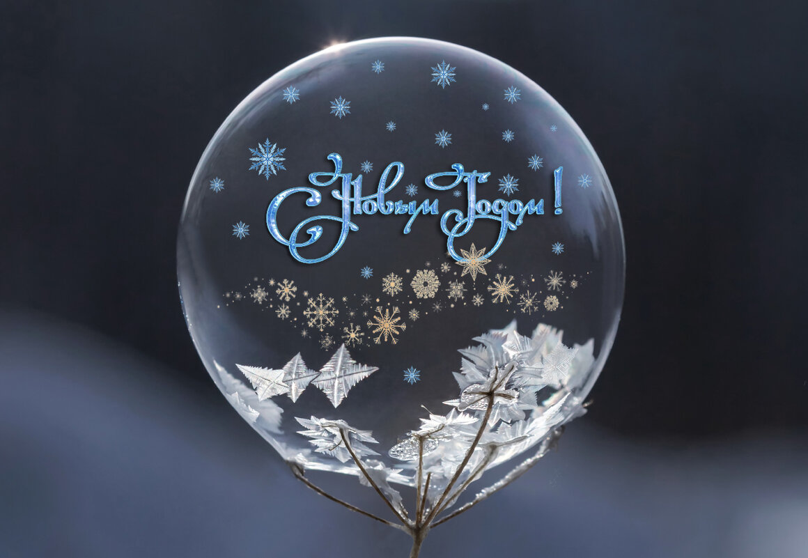 С Новым Годом!!! - Андрей Пристяжнюк