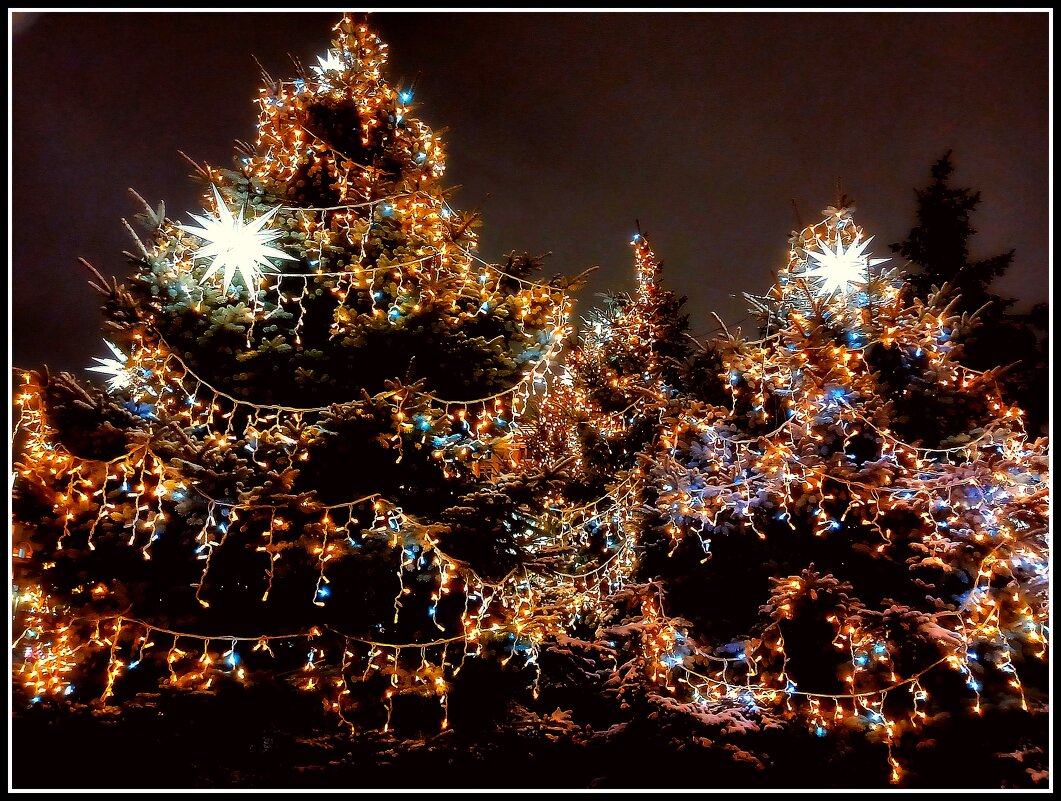 Ёлки новогодние ☺ - Лия ☼ Ёлки новогодние ☺ - Лия ☼