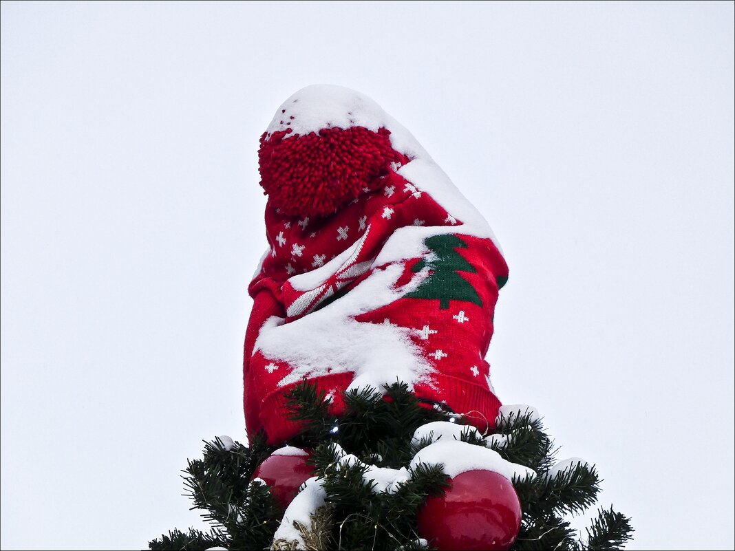 "маленькой" ёлочке холодно зимой... - Валентина *