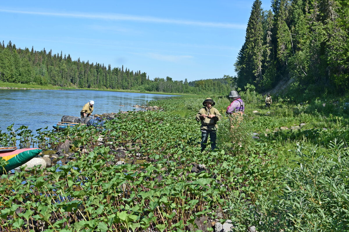 Отдых на берегу. - ВикТор Быстров