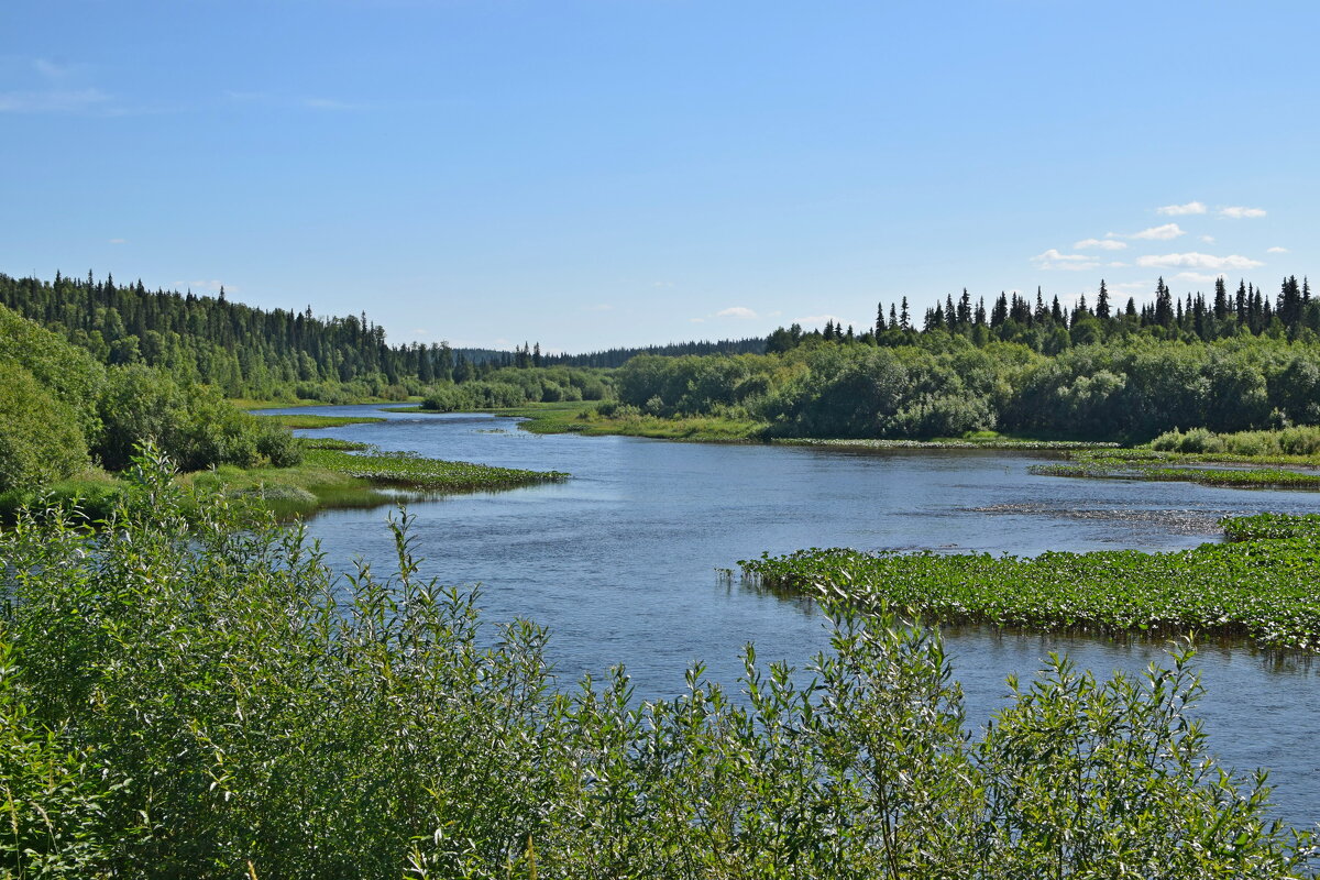 Острова и протоки. - ВикТор Быстров