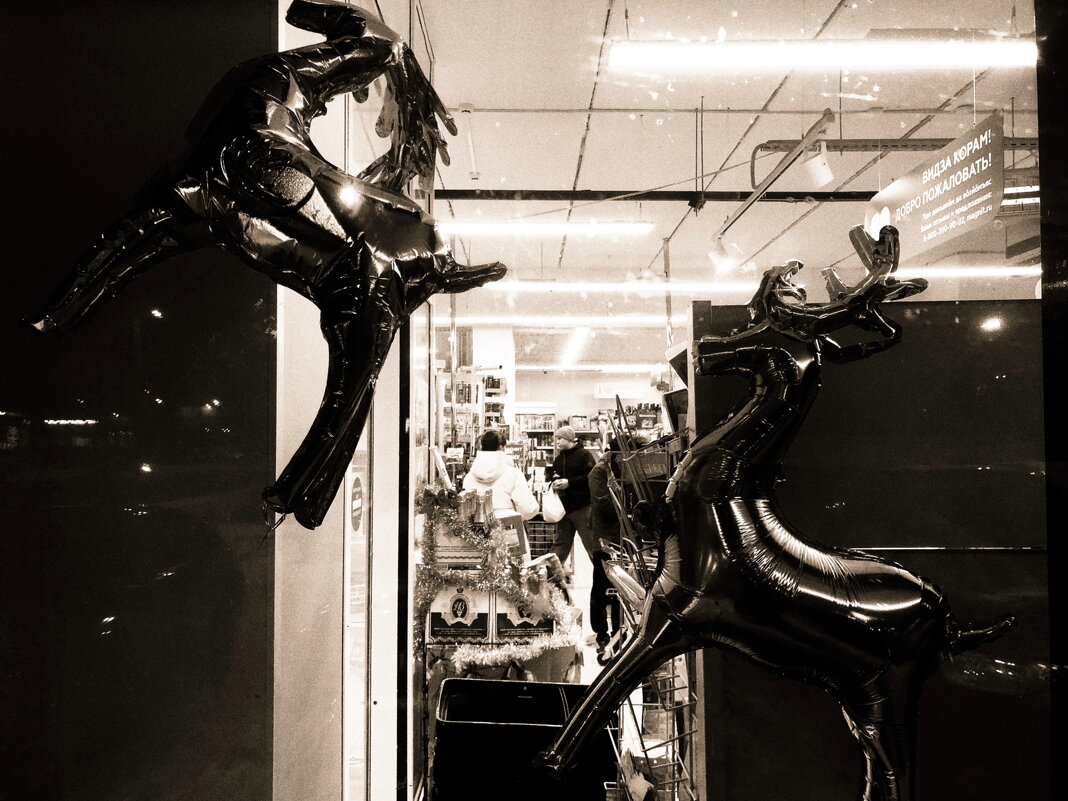 Фотография - Денис Безногов