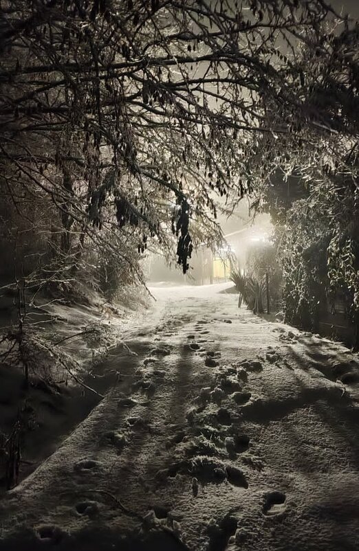 НОВОГОДНИЙ СОЧИ. - Tata Wolf