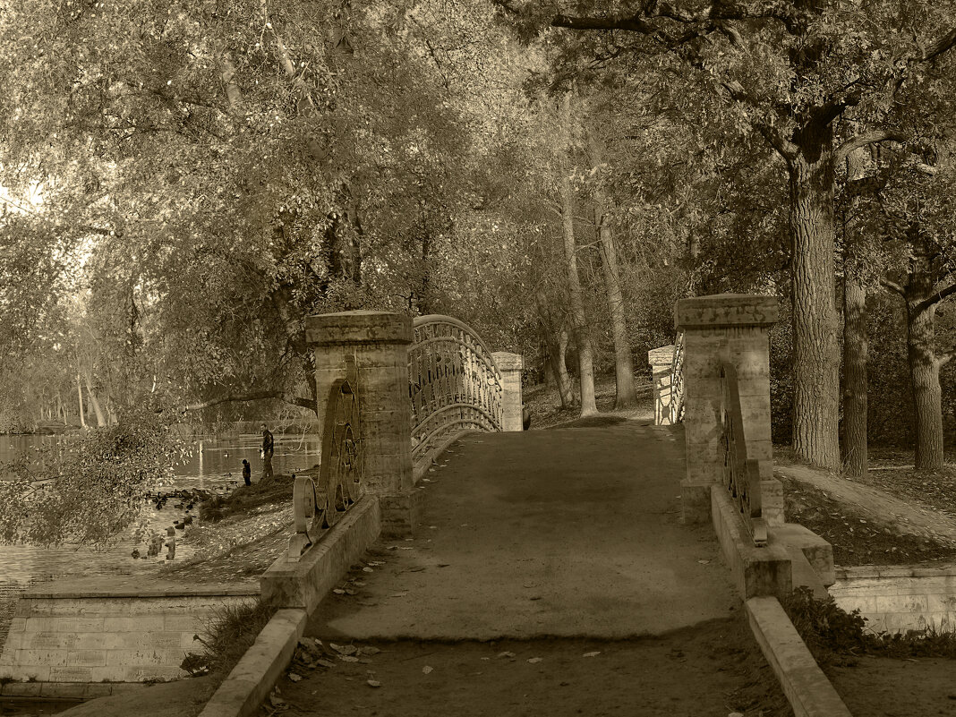 В Гатчинском парке - Наталья В Гатчинском парке - Наталья