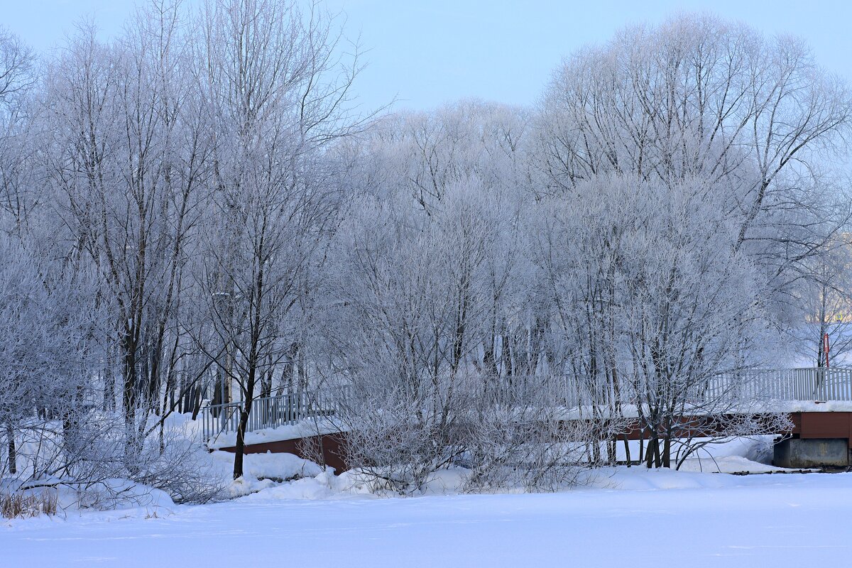 С наступающим Вас Новым годом! - Владимир59 