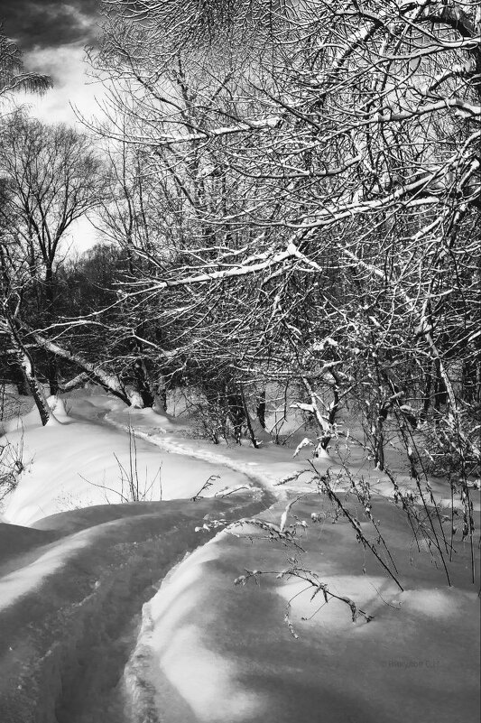 С Наступающим новым годом! - Sergei Vikulov С Наступающим новым годом! - Sergei Vikulov