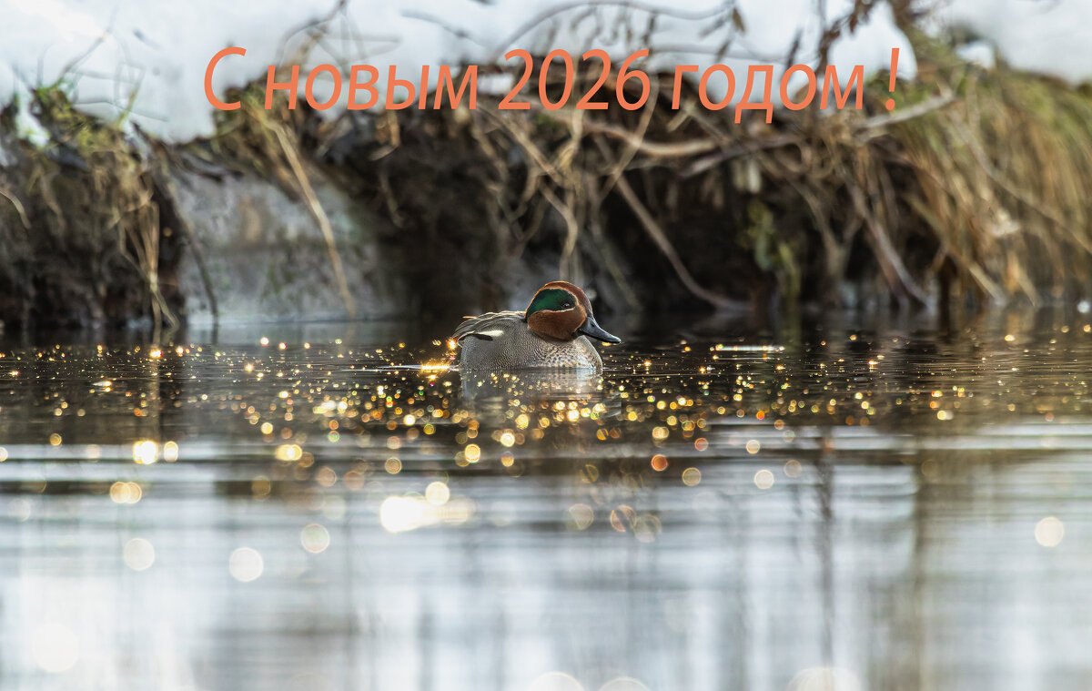 с новым годом! - юрий макаров с новым годом! - юрий макаров