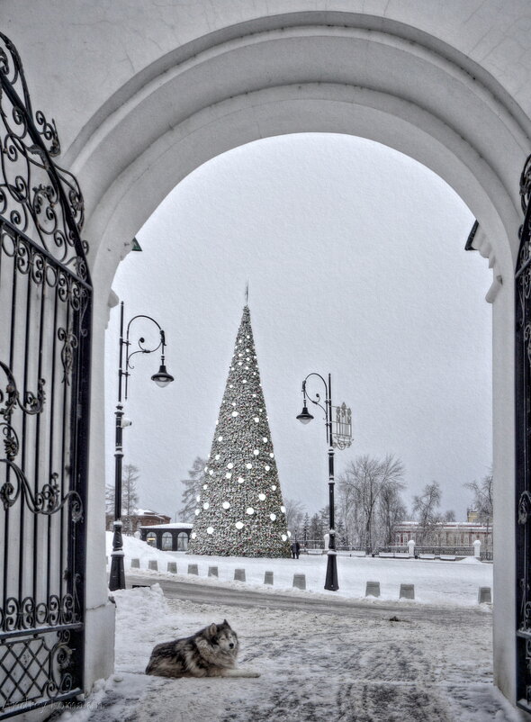 Ждём-с - Andrey Lomakin