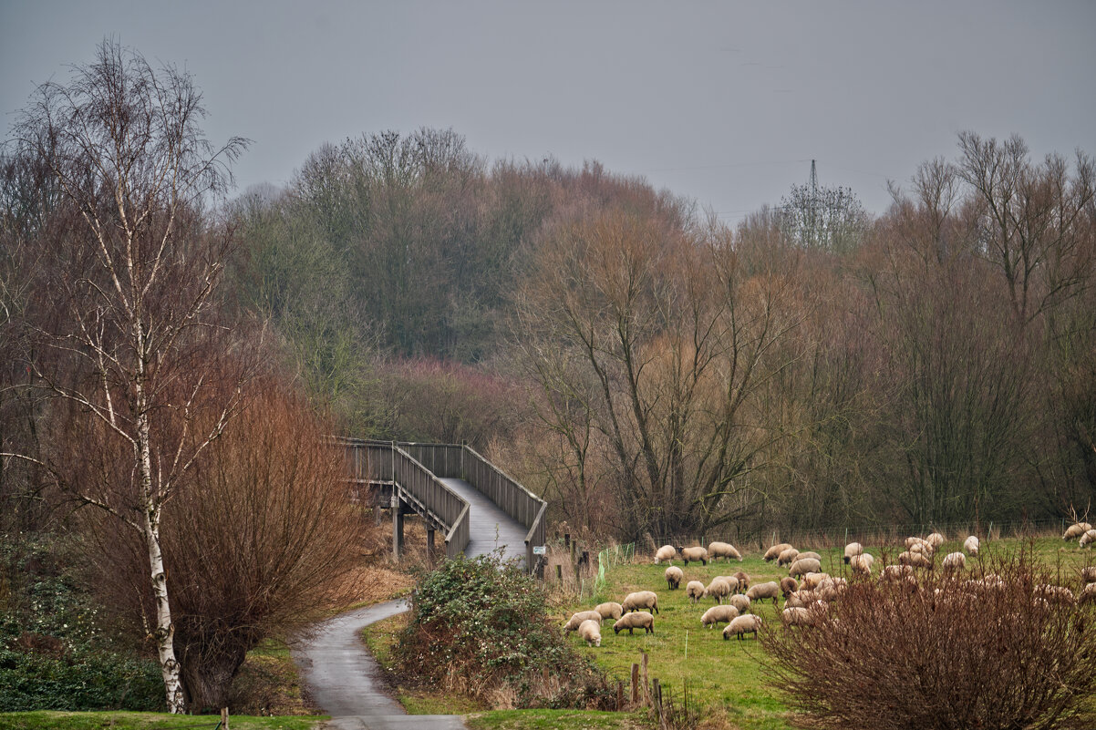 31.12.2025. Шашлык на проулке ... - Jakob Dick