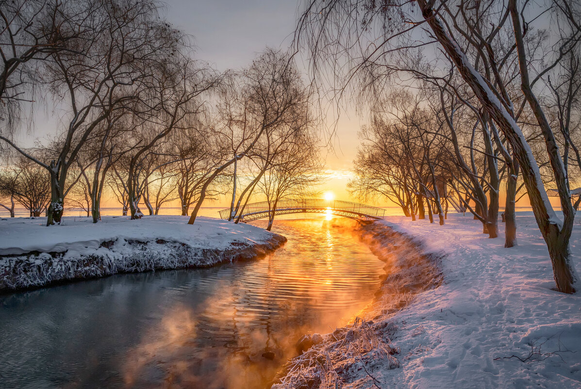 С наступающим новым годом! - Ирина С наступающим новым годом! - Ирина