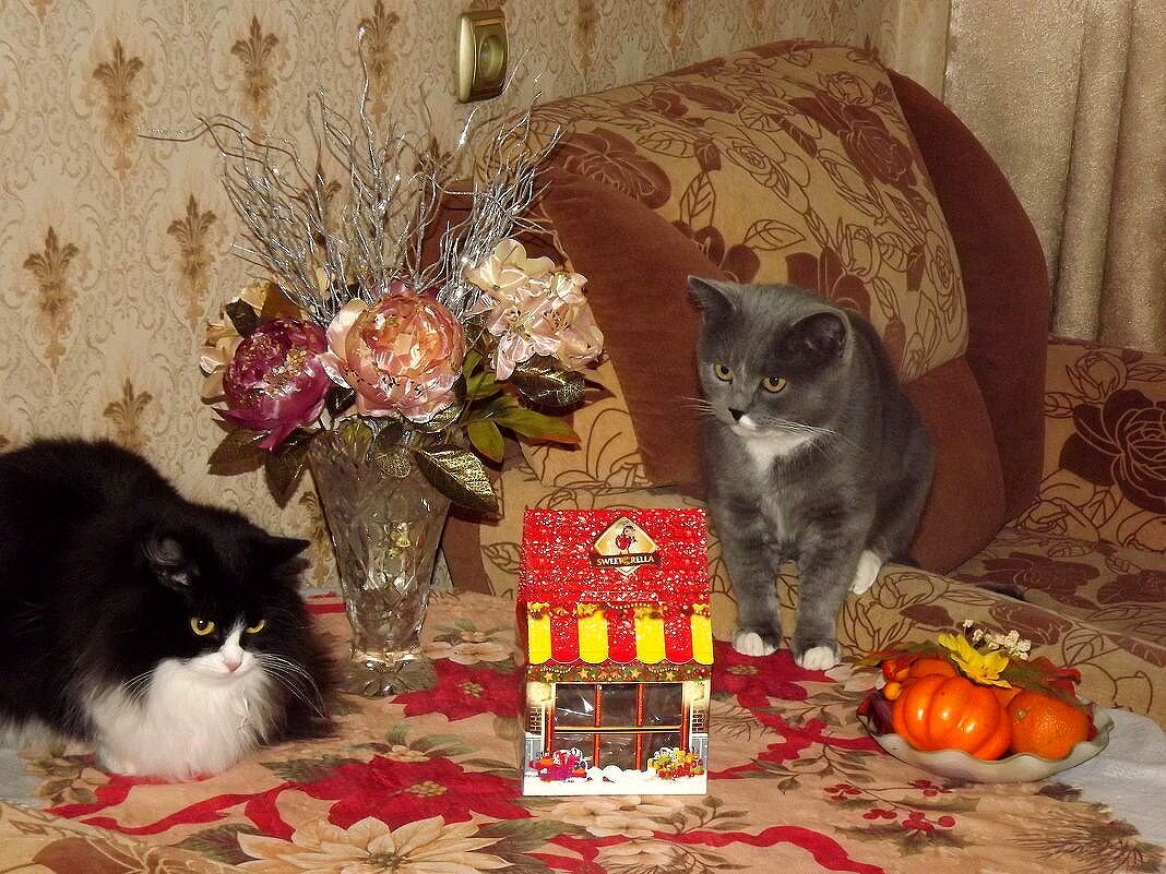 Дорогая,я купил тебе дом к Новому году! - Нина Андронова