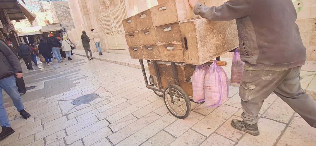 13  ОПЕН (786) - OPEN WAYS ALL