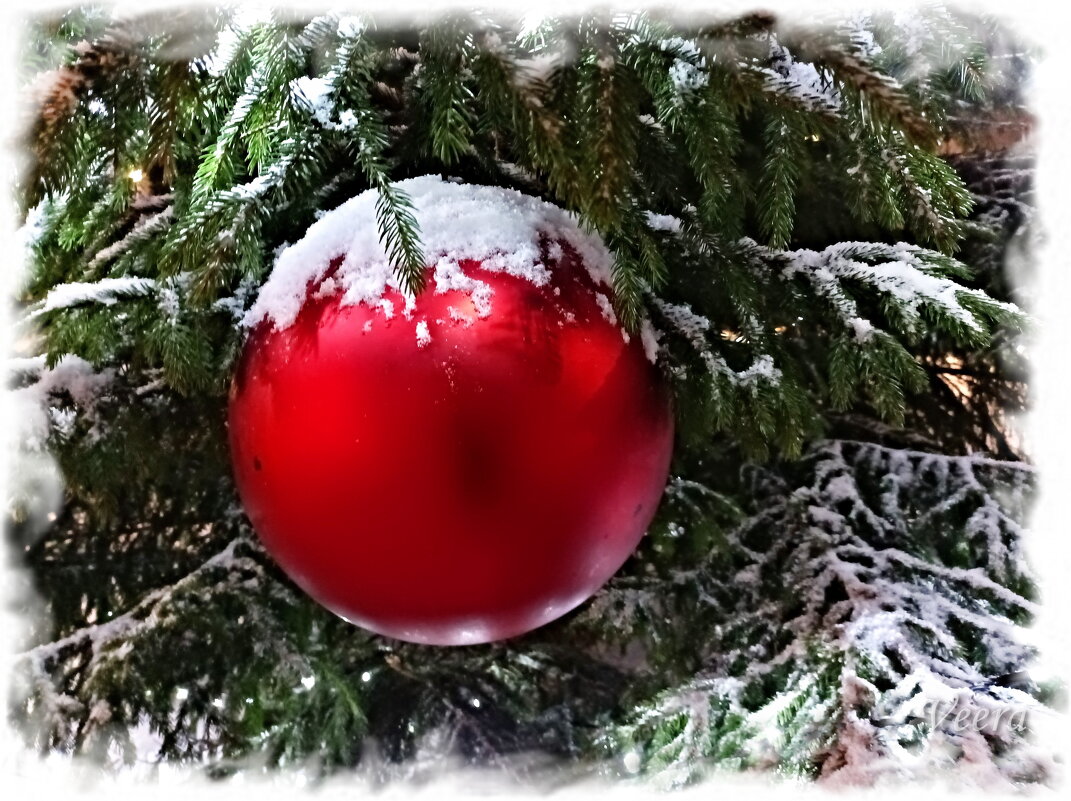 Шарик - Veera V