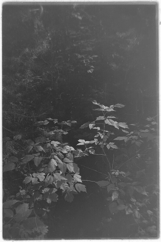 №144 - Alex Bes №144 - Alex Bes