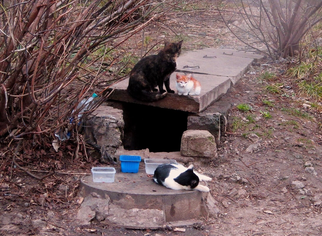 С мелкотейкой - Сергей Уткин С мелкотейкой - Сергей Уткин