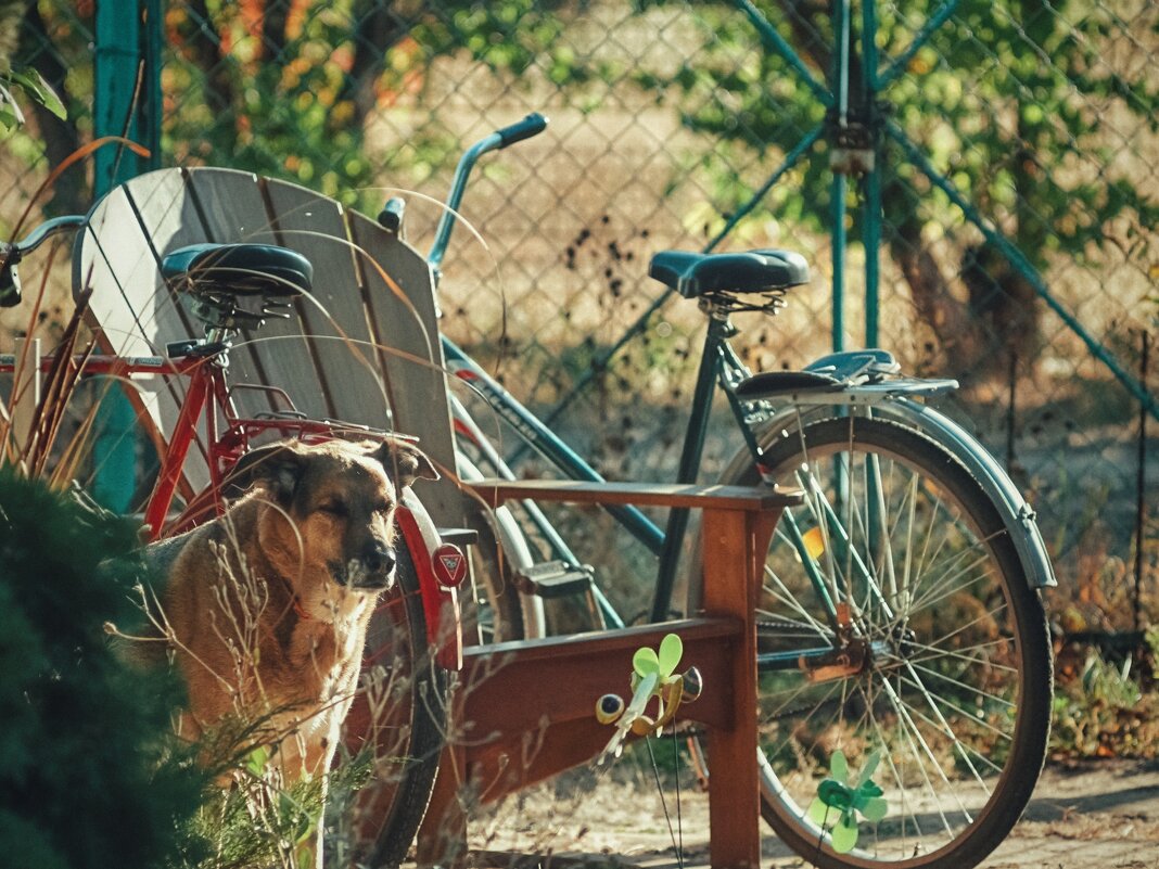 Глубина момента - Сергей В Глубина момента - Сергей В