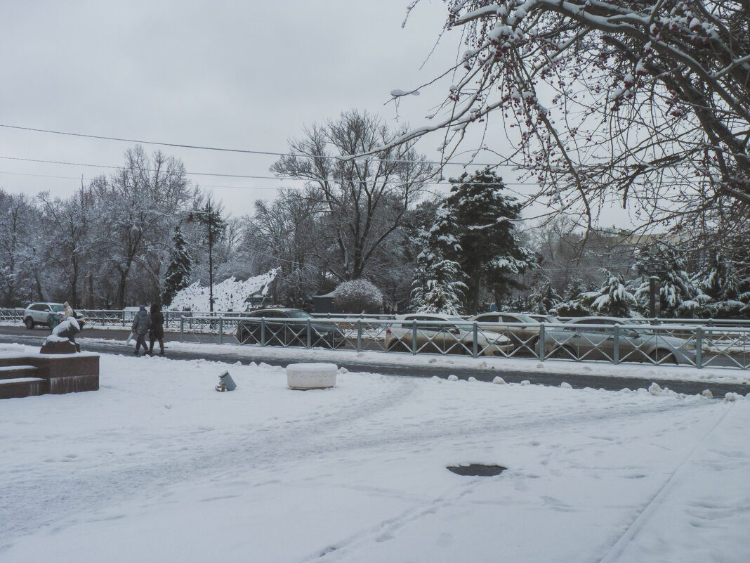 Зима в Крыму - Валентин Семчишин