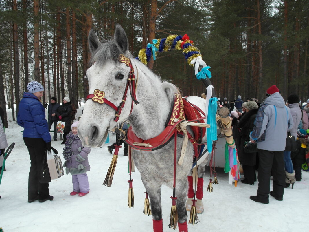 новогоднее катание - Владимир 