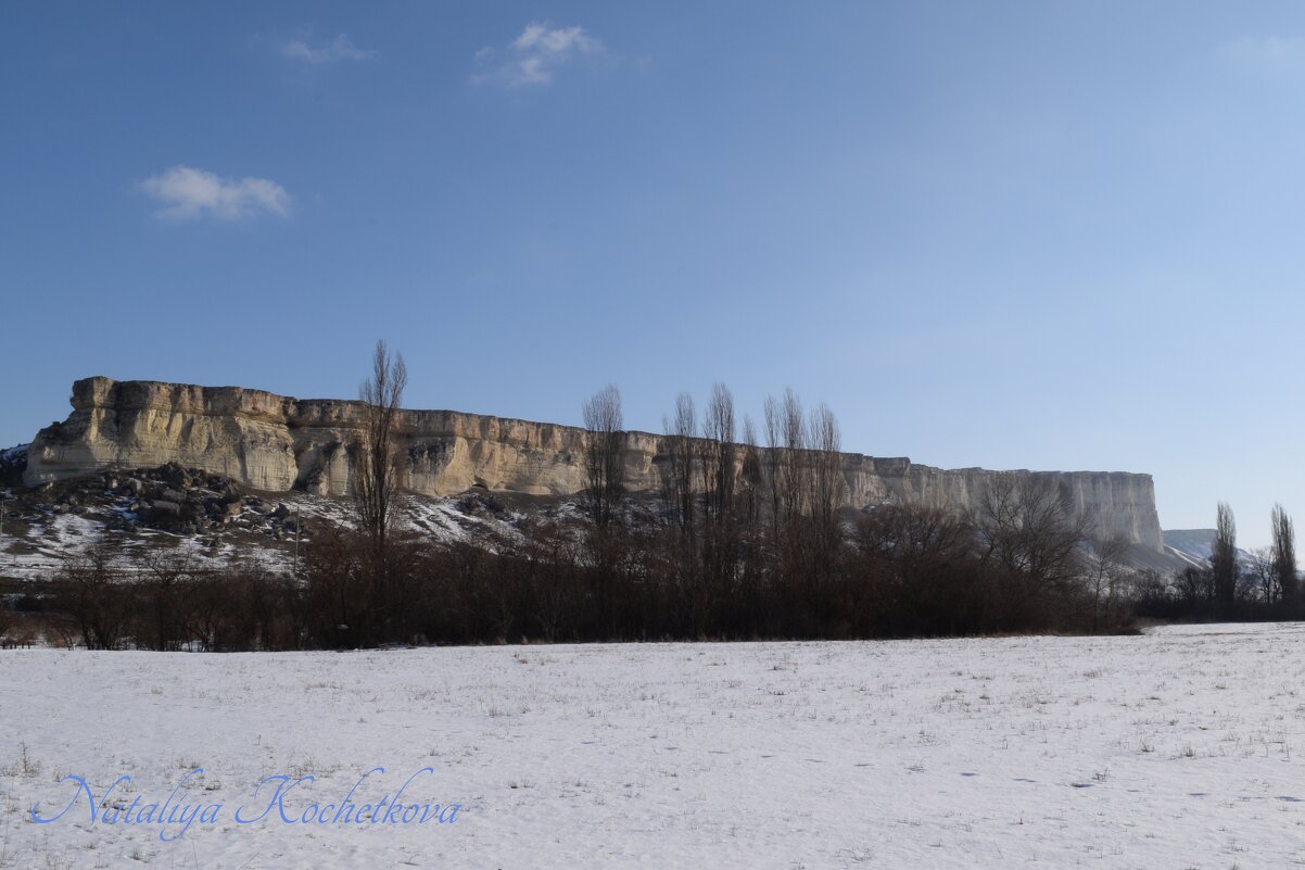 Природа Крыма - Amazing Cosmea