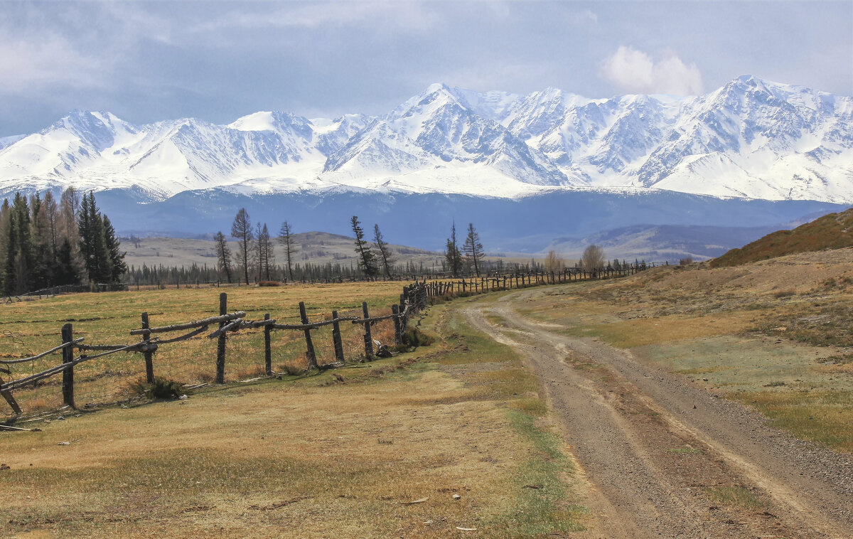 Курайские ландшафты - елена беликова