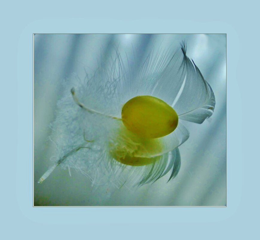 МИГ... - Elvira E. 