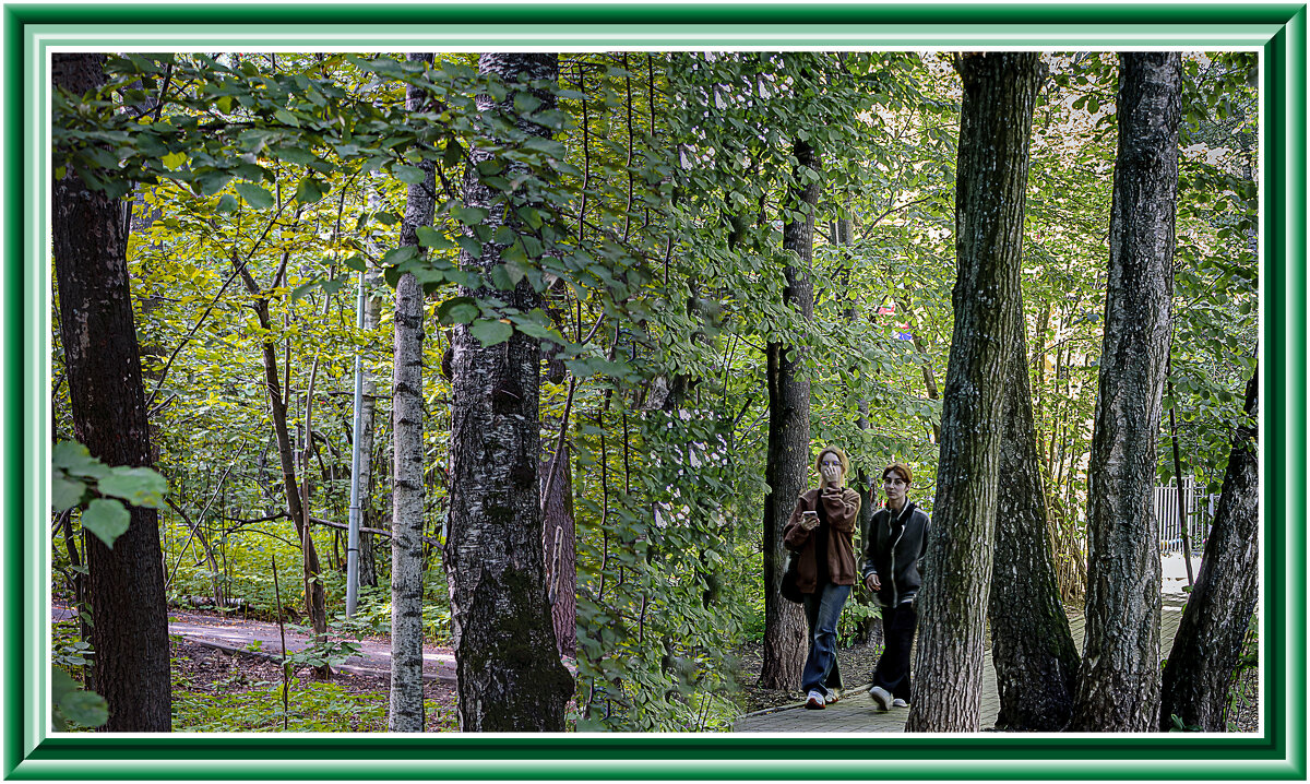 В лесопарке - Владимир Кроливец