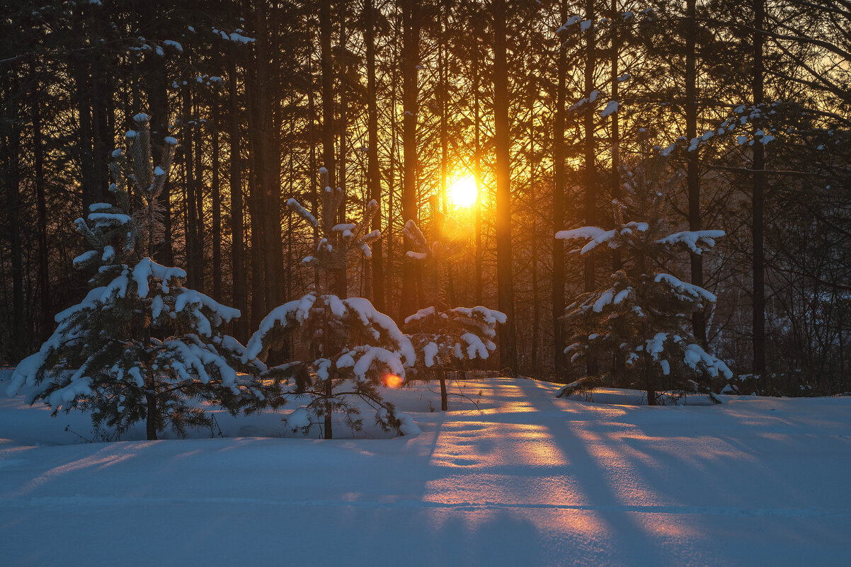 С Новым Годом! - Павел Крутенко
