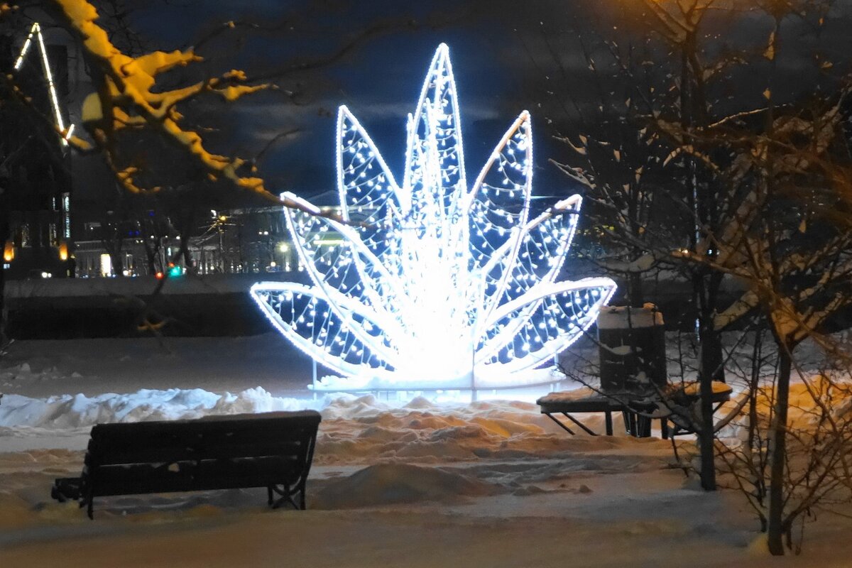 Калининград предновогодний - Рита Симонова