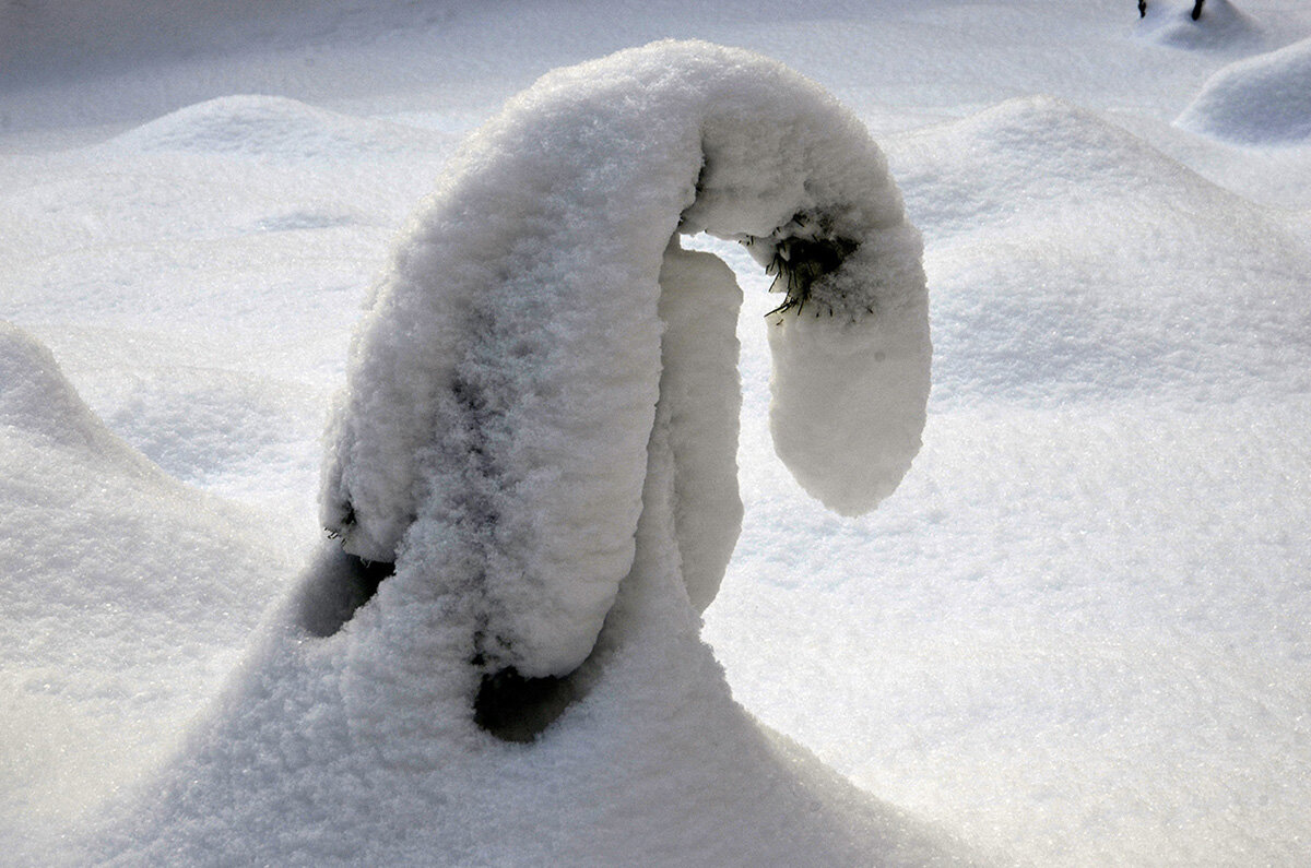 Тяжеловато стало - Aleksandr Gal