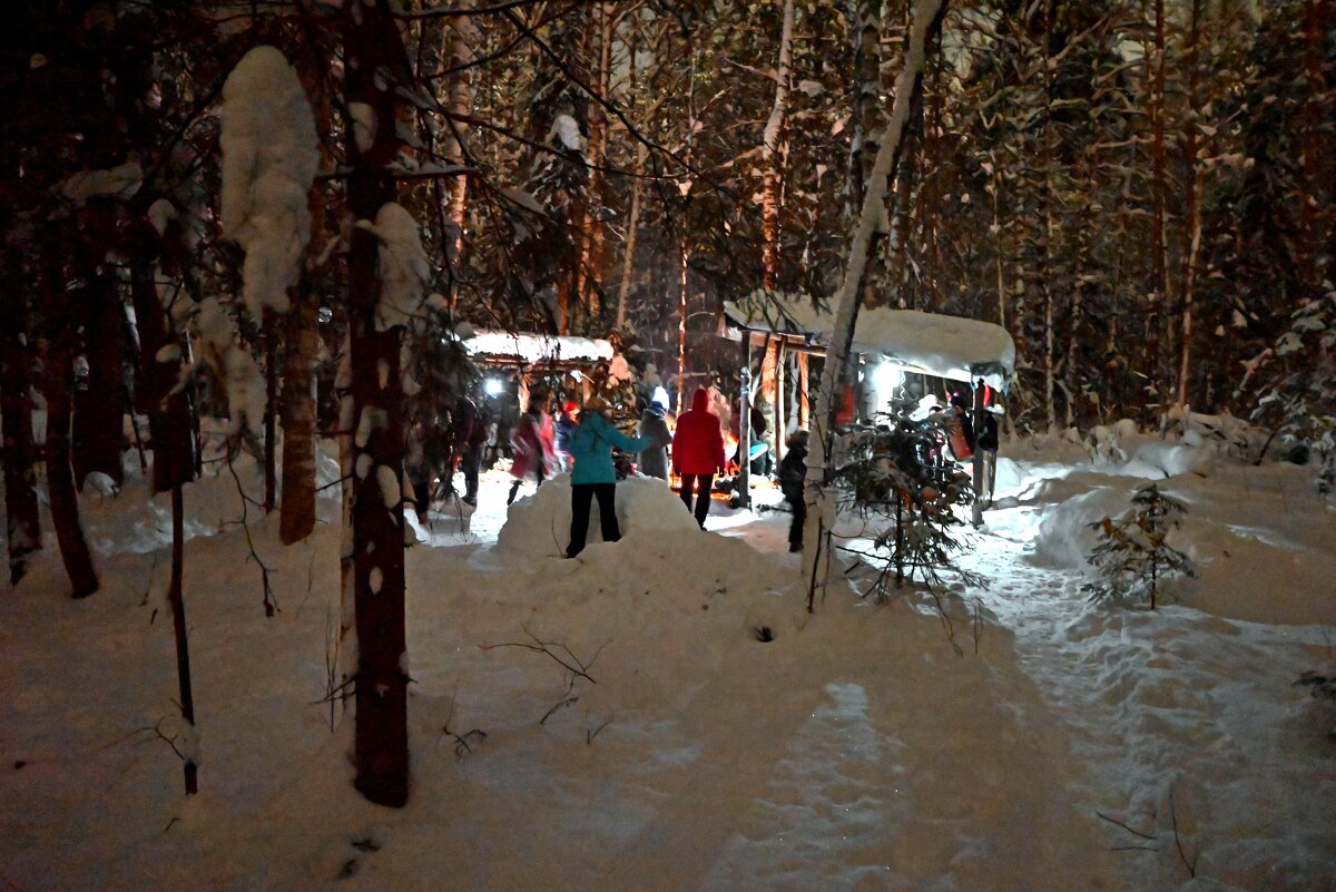 Новогодняя ночь в лесу. - ВикТор Быстров