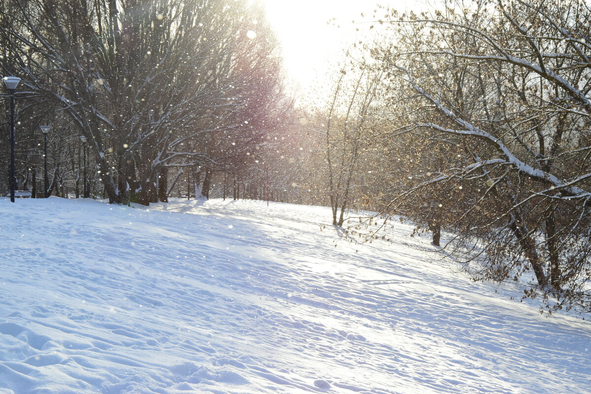 Зимний пейзаж. - Наталья Вязигина