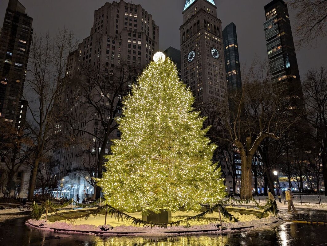 Новогодняя елка - Юрий Владимирович 34