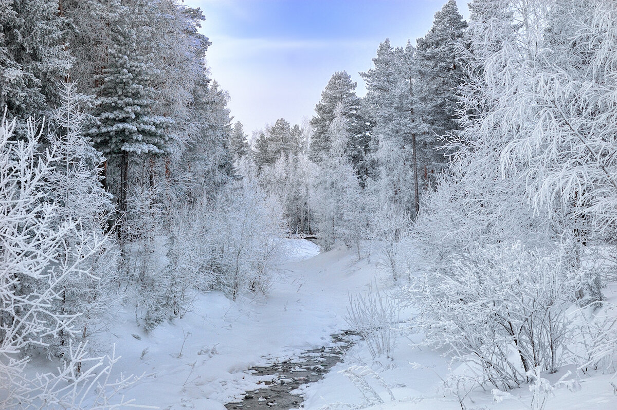 Белоснежная зима - Vladimbormotov 