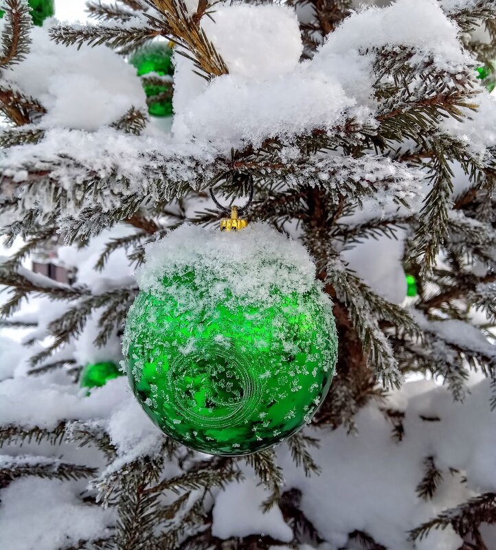 С Новым годом! - Лариса С.