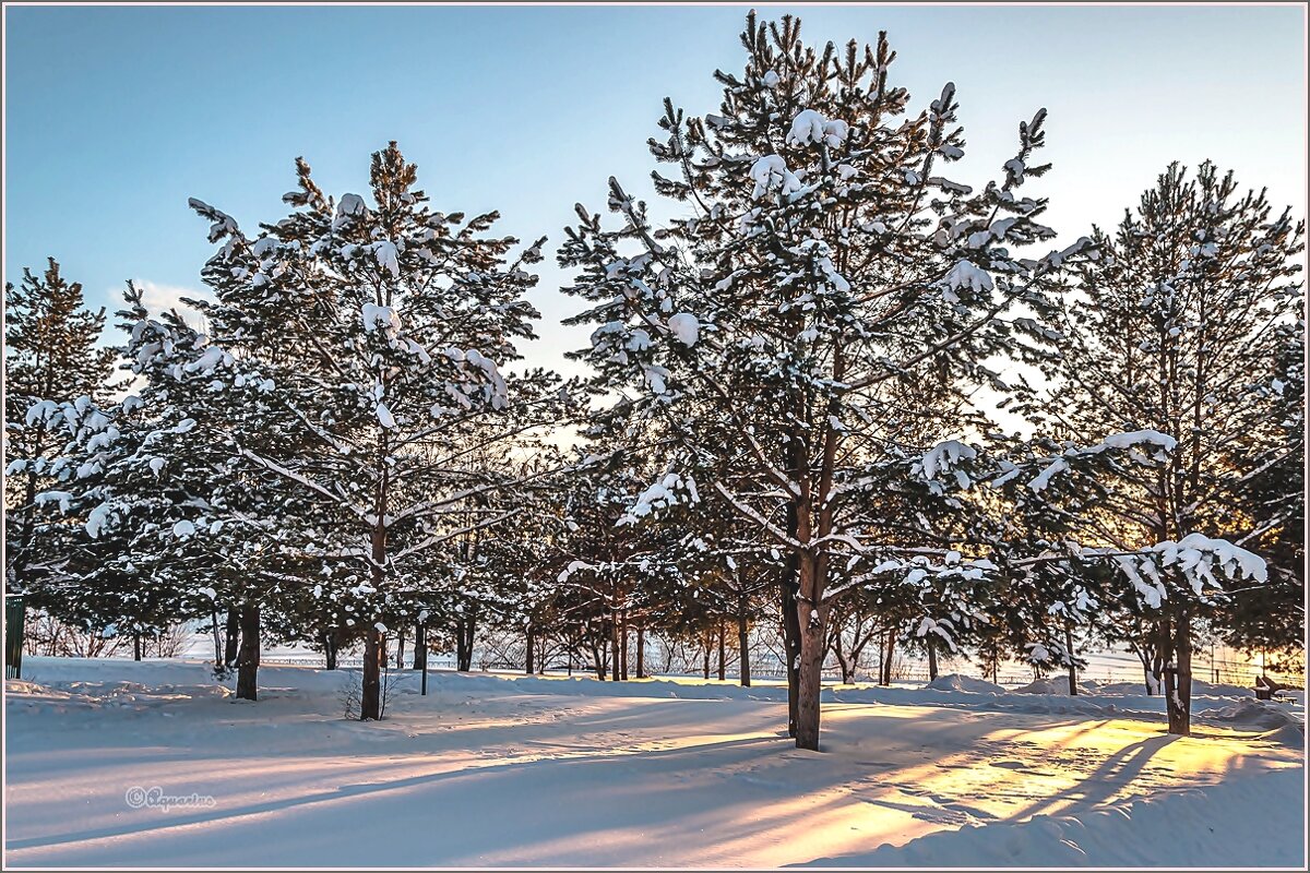 Первый день года... - Aquarius - Сергей