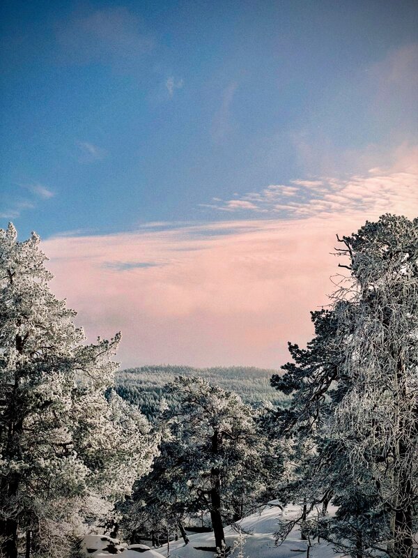 Горная красота - Георгиевич 
