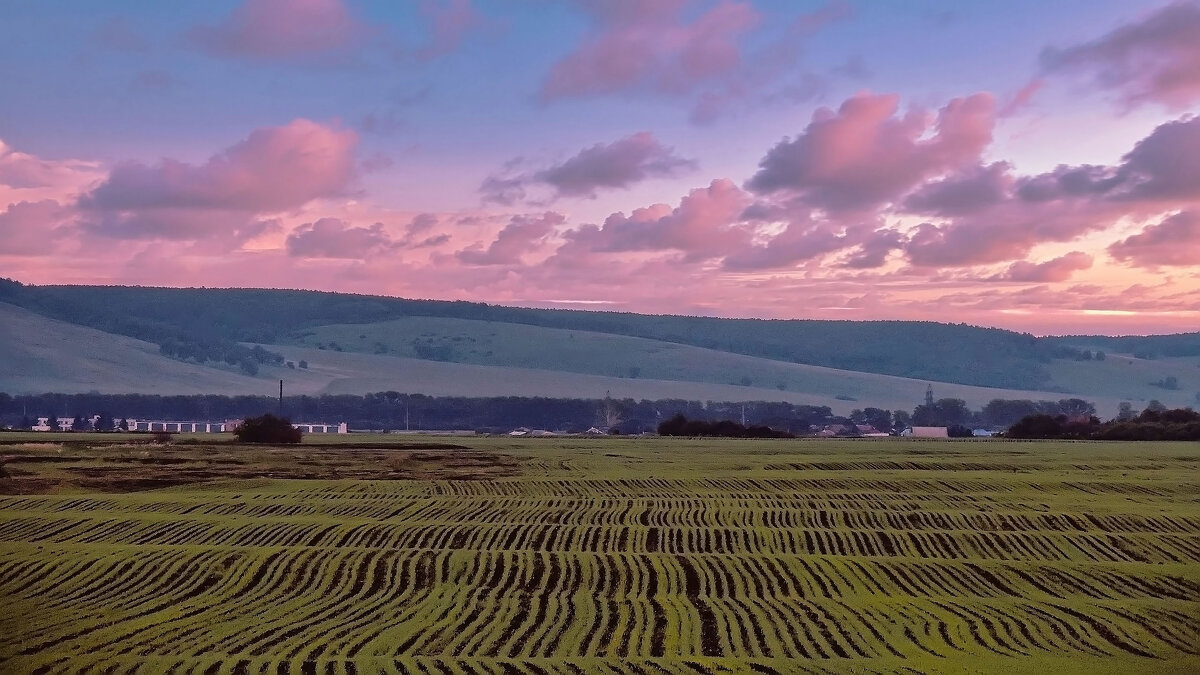 Розовые облака и зелёные волны - Владимир Кириченко