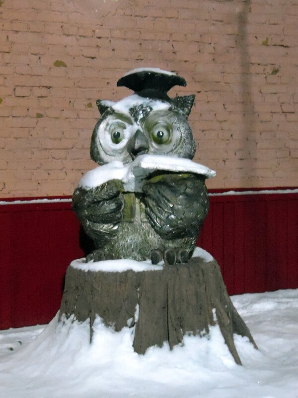 Замёрзла мудрая сова. - nadyasilyuk Вознюк