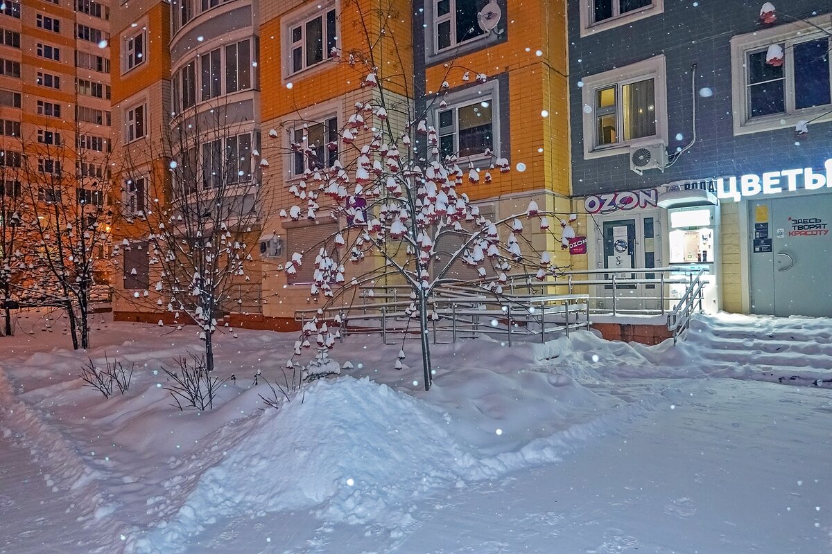 Снежный Новый год - Валерий Иванович